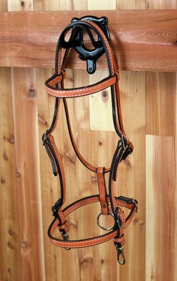 3666 Bridle